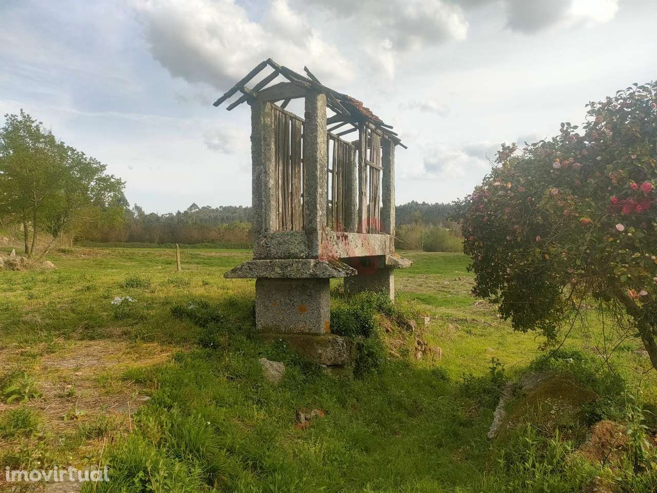 Quinta T4 em Seidões, Fafe - Grande imagem: 5/25