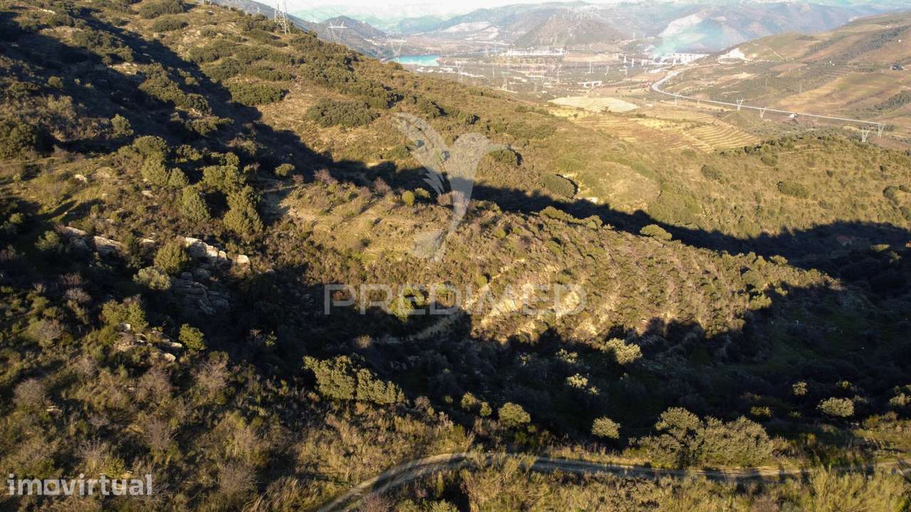 Propriedade de Excelência com Mais de 22 Hectares no Coração do Douro - Grande imagem: 2/30
