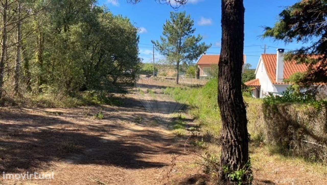 Terreno  para venda - Grande imagem: 5/5