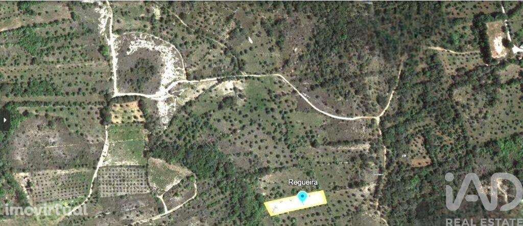 Terreno em Areias e Pias de 2560,00 m2 - Grande imagem: 2/14