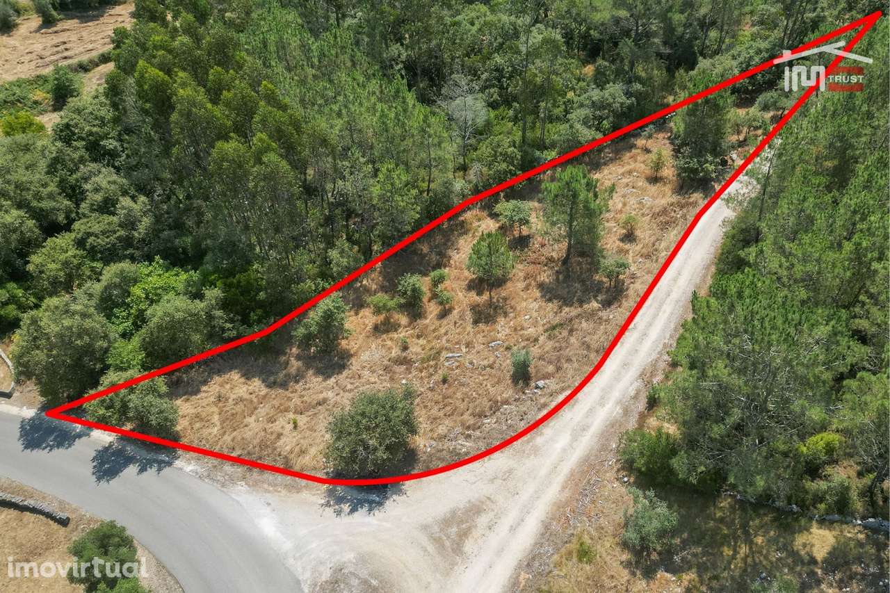 Terreno Rústico junto à estrada em Barreiro Grande, S. Mamede - Grande imagem: 2/11