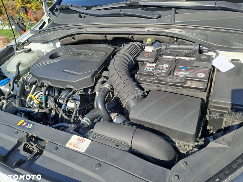 Kia Ceed 1.6 T-GDI DCT7 OPF GT - 25