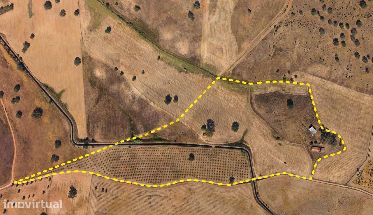 Herdade de 22 Hectares - Grande imagem: 2/43