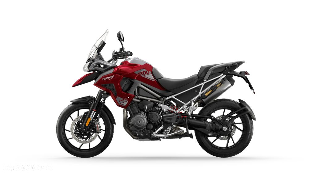 Triumph Tiger - 15