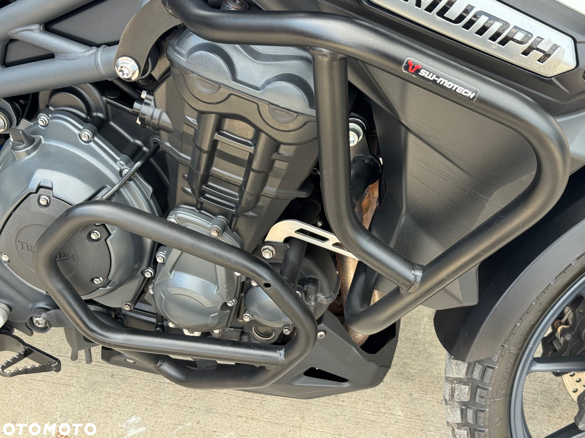 Triumph Tiger - 30
