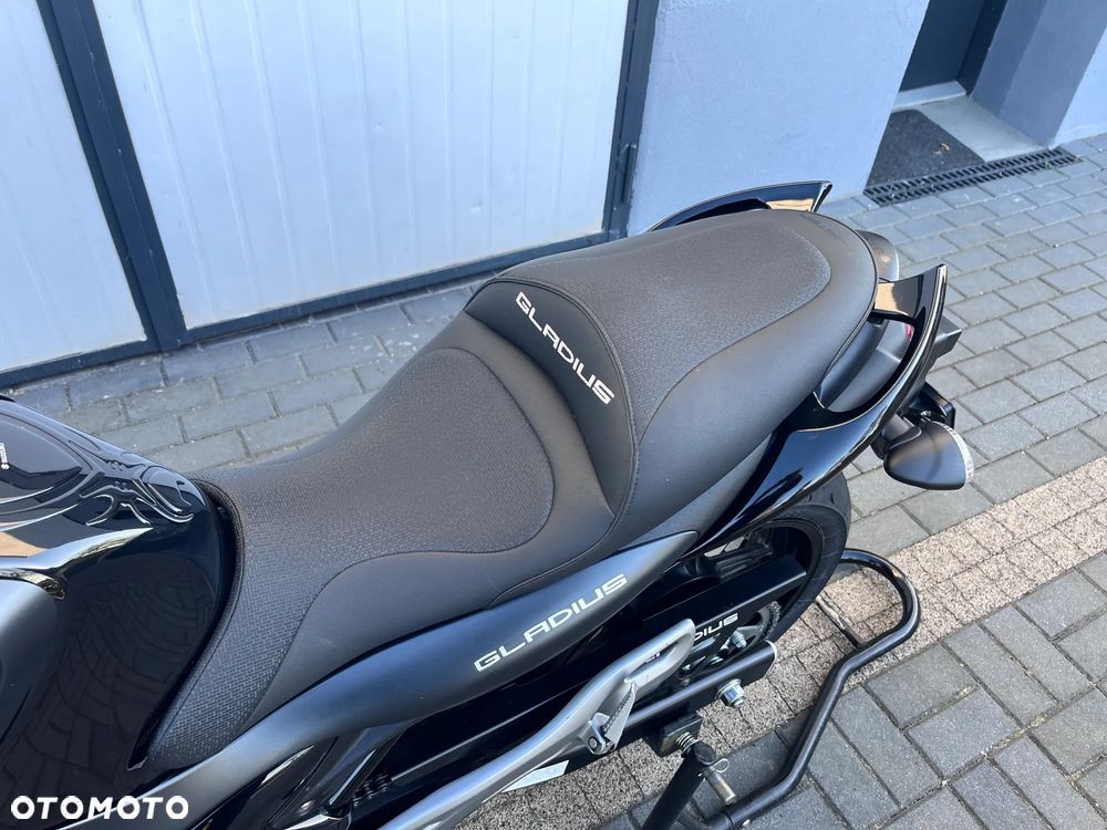 Suzuki Gladius - 17