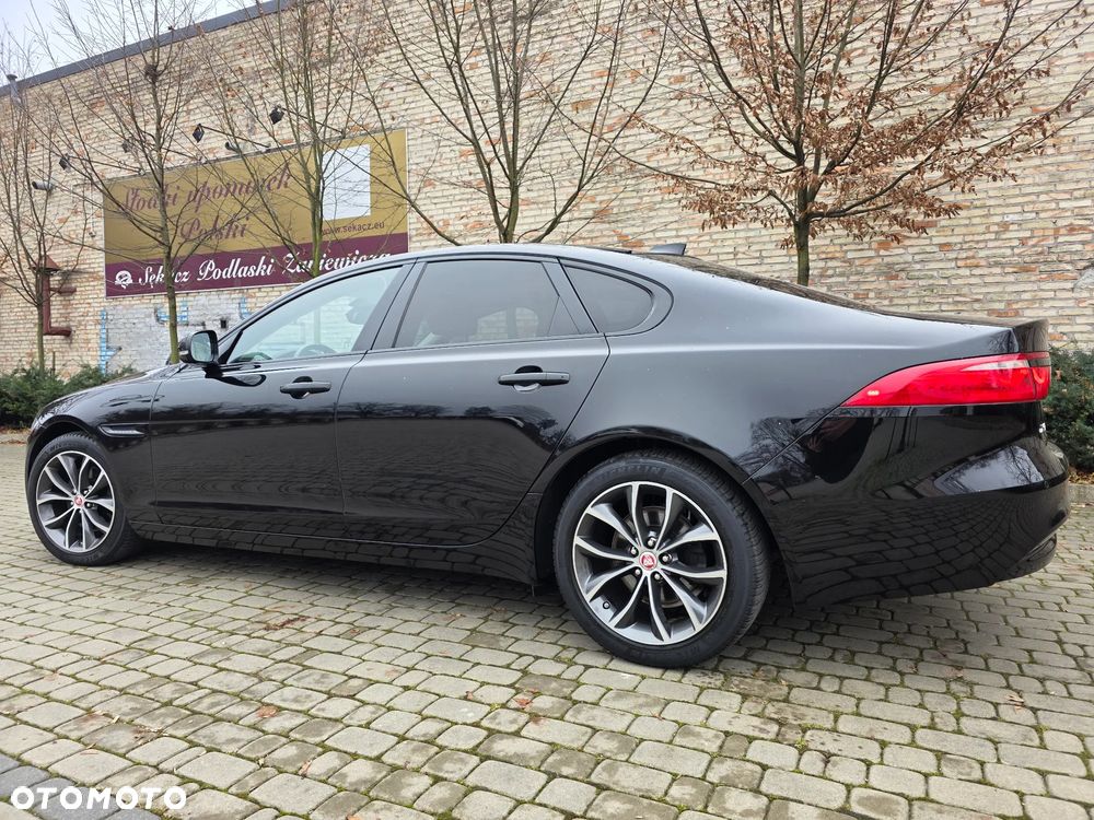 Jaguar XF - 14