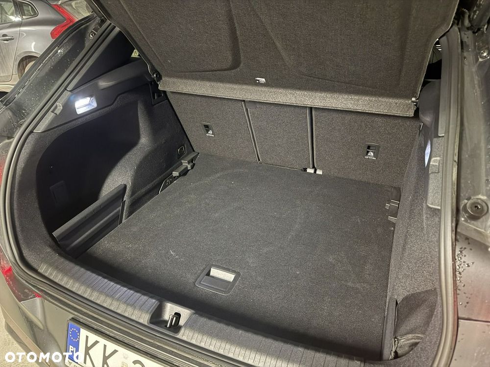 Cupra Terramar - 13