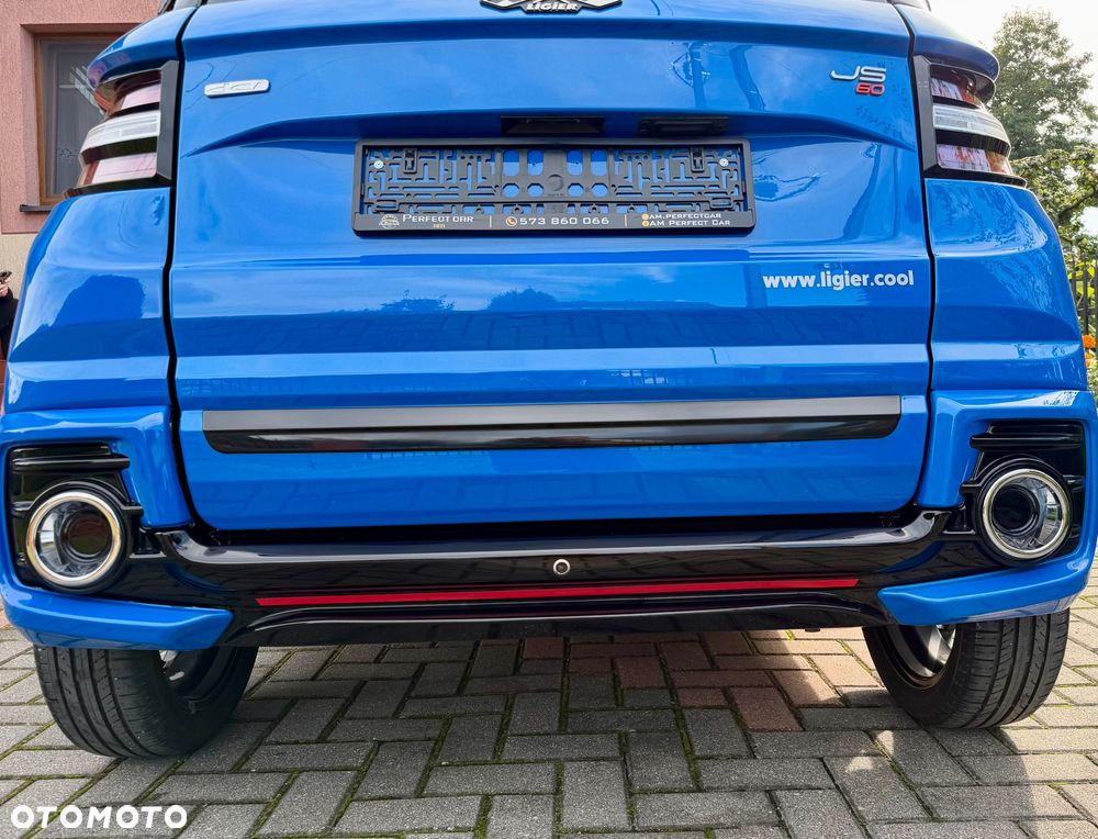 Ligier JS60 - 29