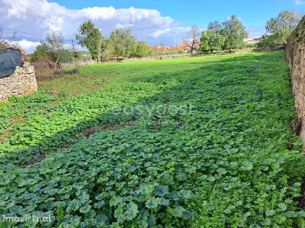 Excelente Moradia T6, com 1 800 m2 de terreno, em Carviçais - Grande imagem: 3/26