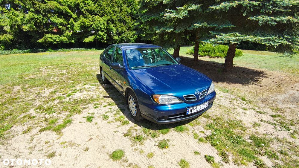 Nissan Primera - 2