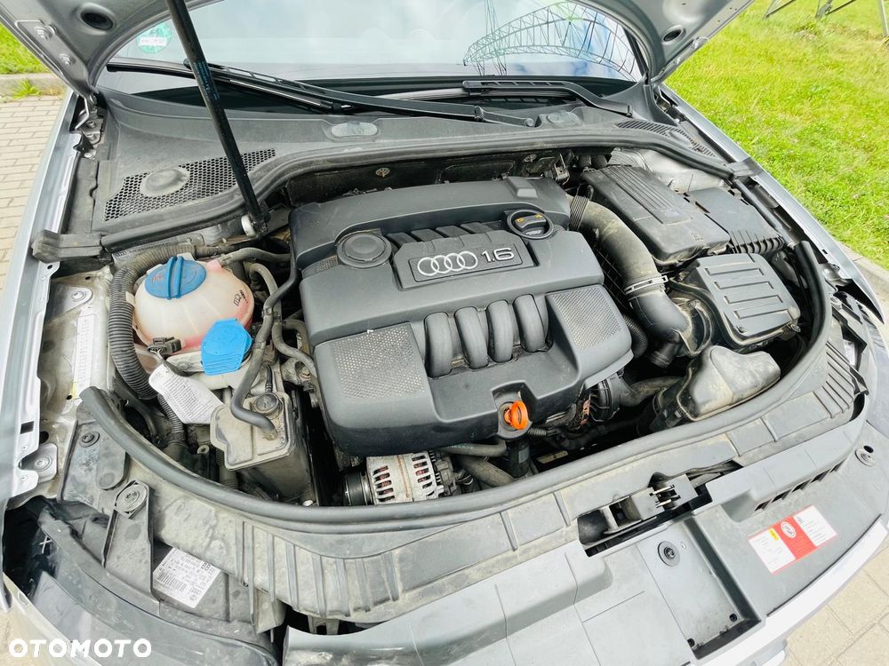 Audi A3 Cabrio 1.6 Ambition - 26