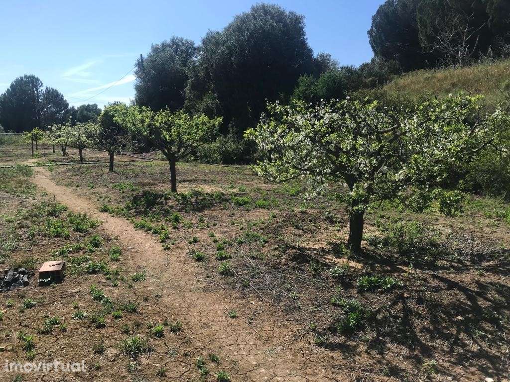 TERRENO Rústico (6.750 m2) - Grande imagem: 3/15