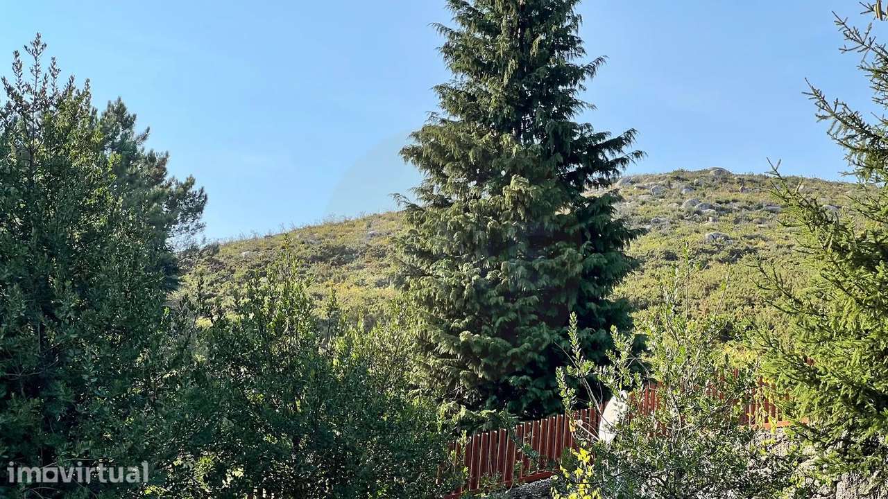 Moradia T3 no Gerês - Grande imagem: 5/28