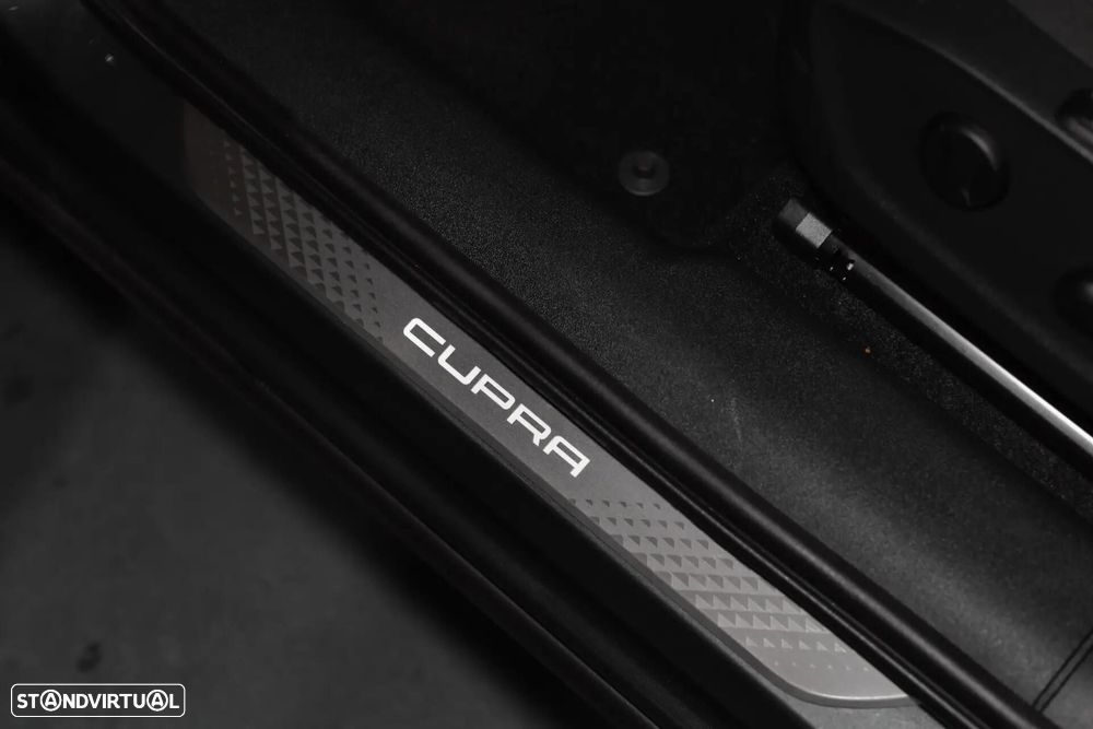 Cupra Terramar - 32