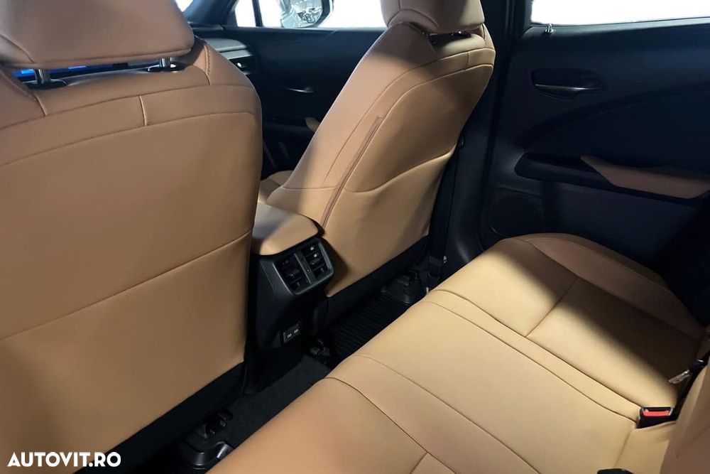 Lexus UX 300h (E-FOUR) F SPORT - 18