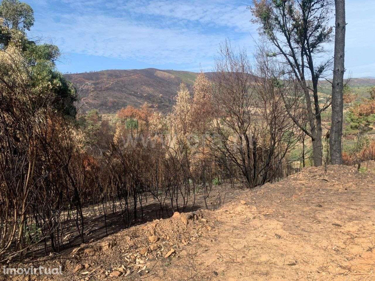 Terreno / Fundão, Freixial - Grande imagem: 3/5