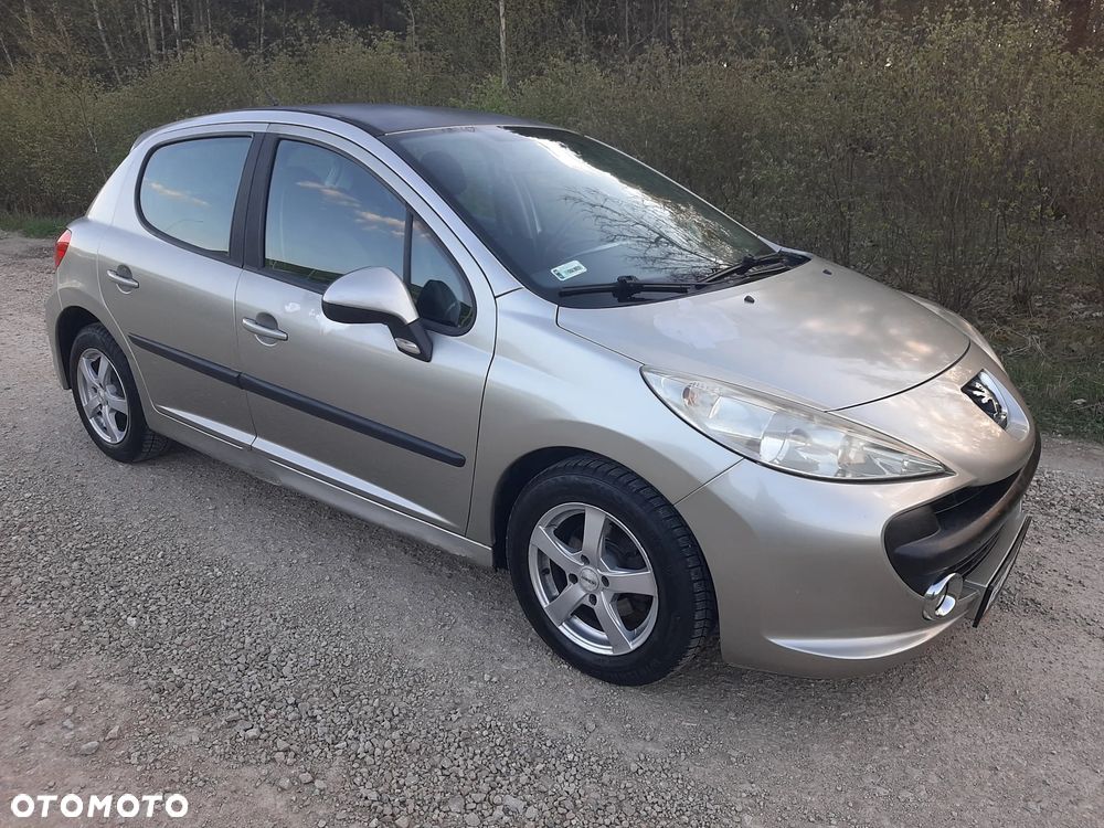 Peugeot 207 - 12