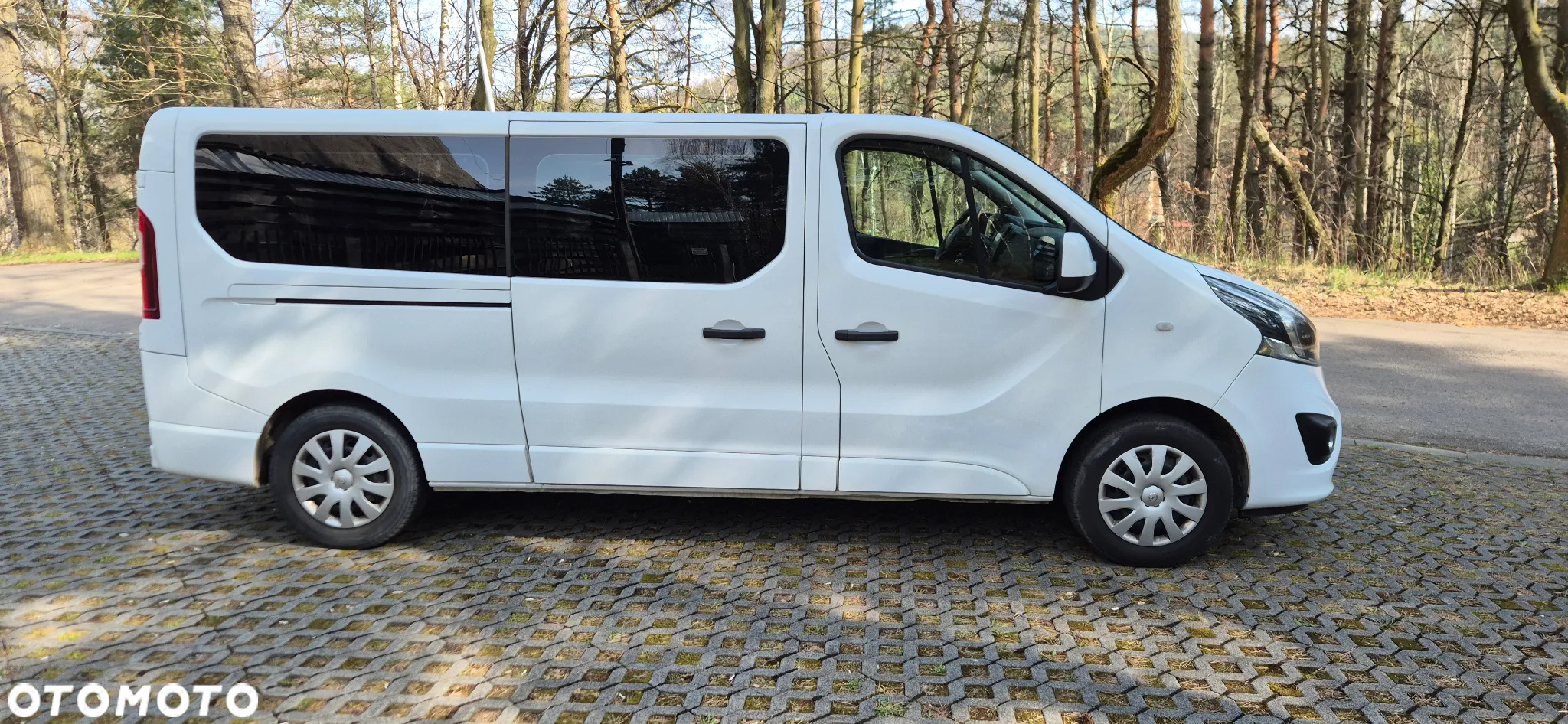 Renault Trafic - 5