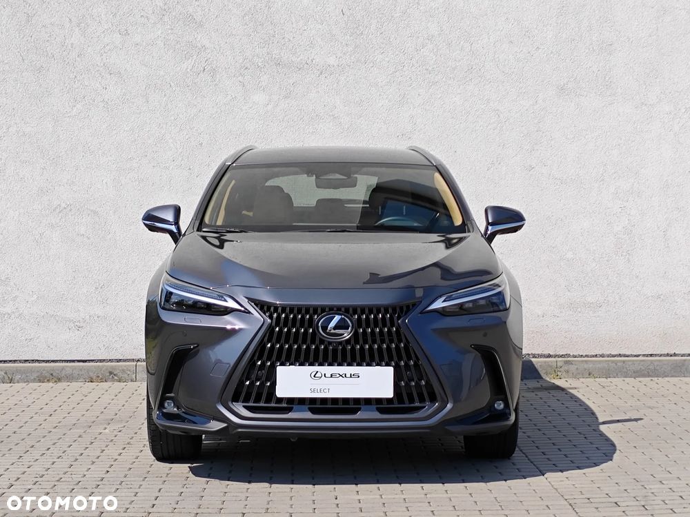 Lexus NX 350h Omotenashi AWD - 7