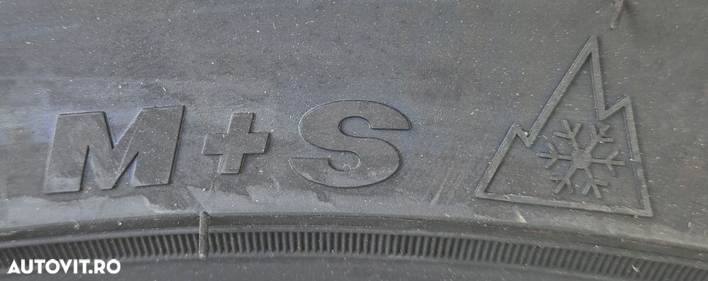 255/65 R17, 114H, ZEETEX WH1000 SUV XL, Anvelope de iarna M+S - 5