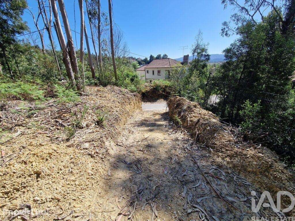 Terreno para construção em Nogueira, Meixedo e Vilar de Murteda de 291 - Grande imagem: 5/26