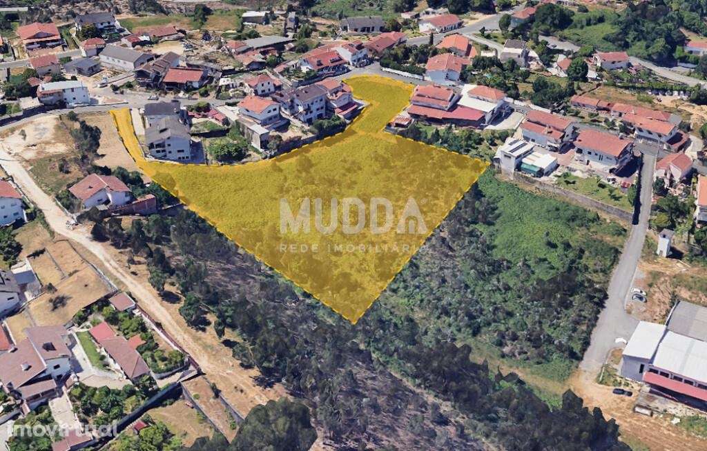 Terreno Rústico com Viabilidade de Construção – São Roque, Oliveira de - Grande imagem: 3/4