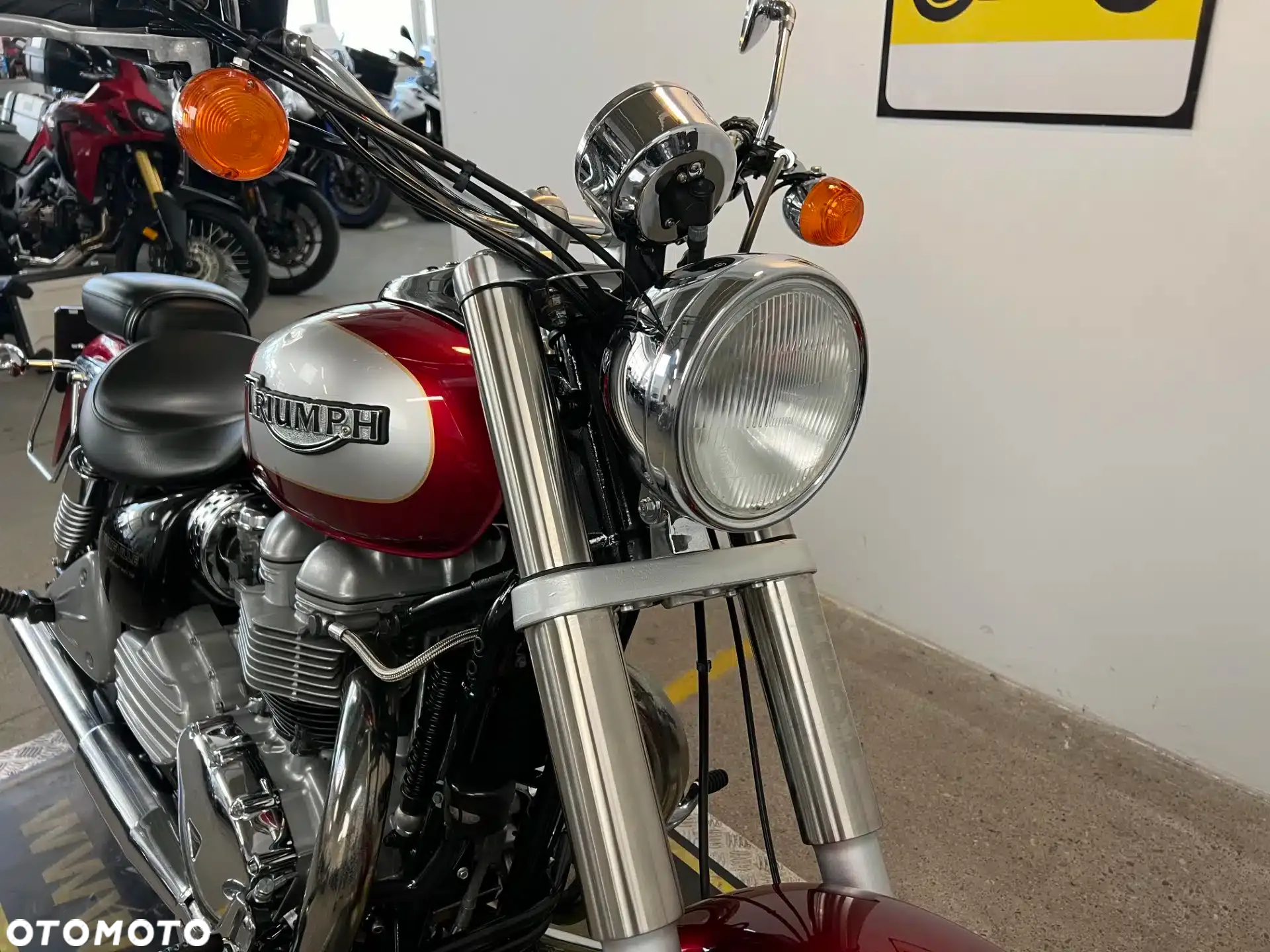 Triumph America - 10