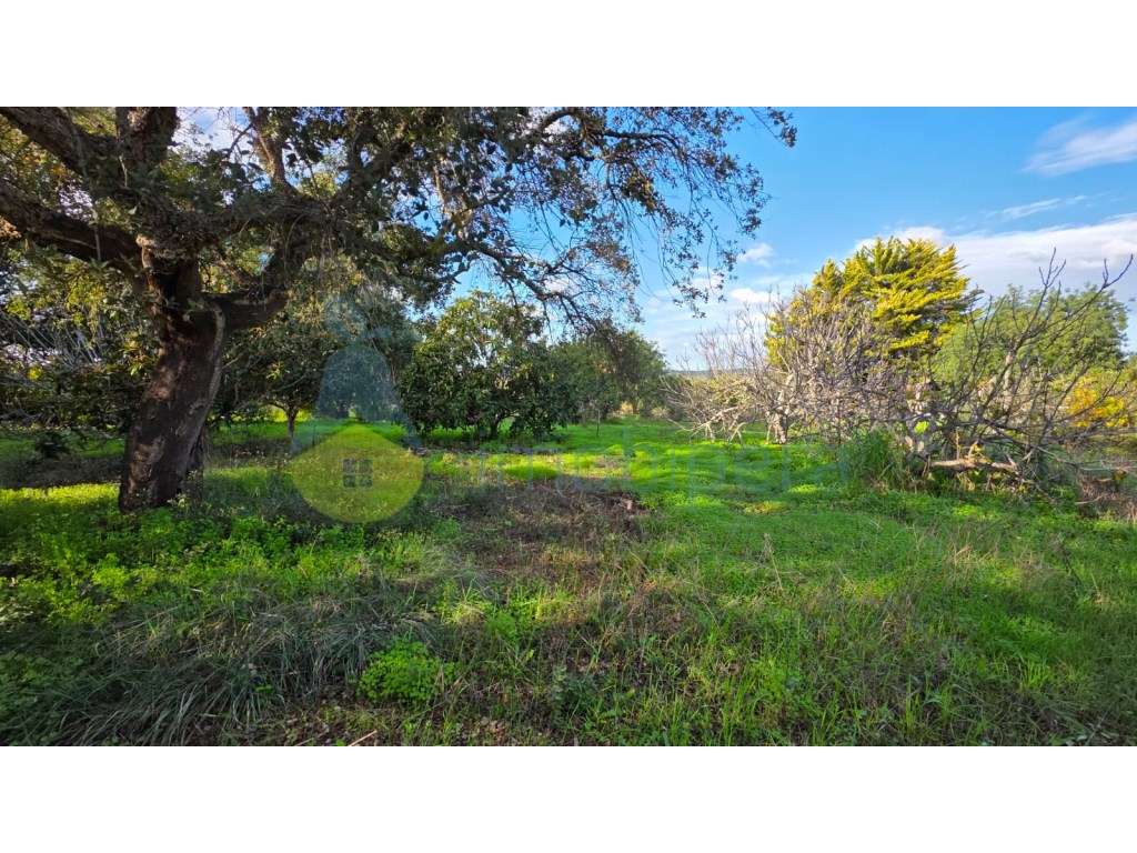 Terreno rústico à venda - Fonte de Louzeiros - Grande imagem: 5/9