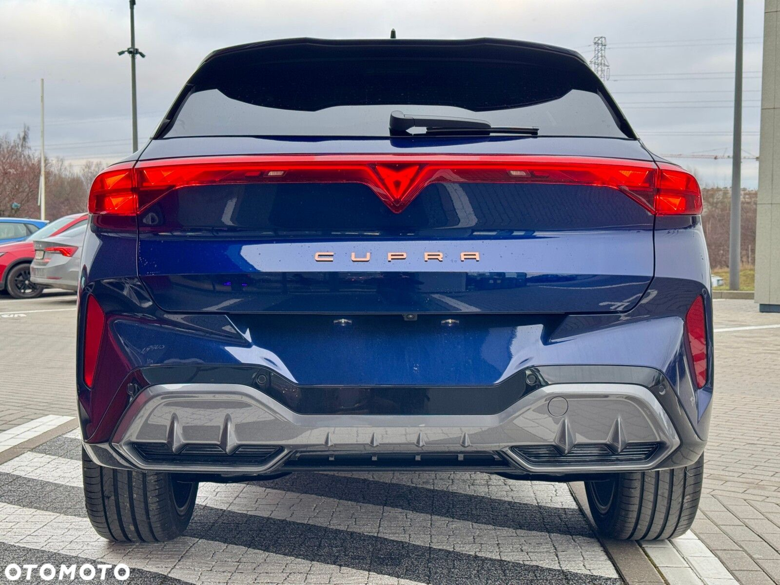 Cupra Terramar 2.0 TSI 4Drive DSG - 8