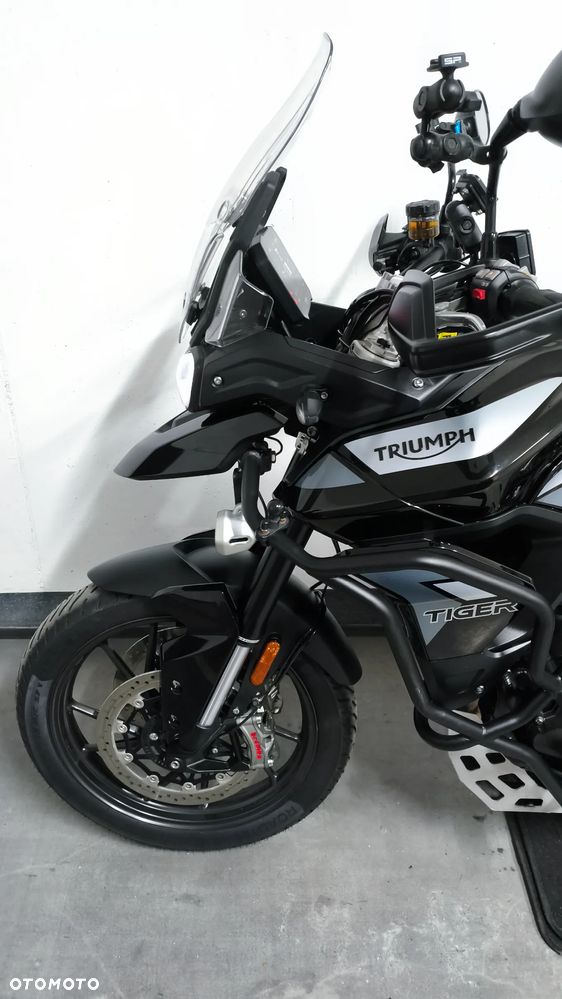 Triumph Tiger - 19