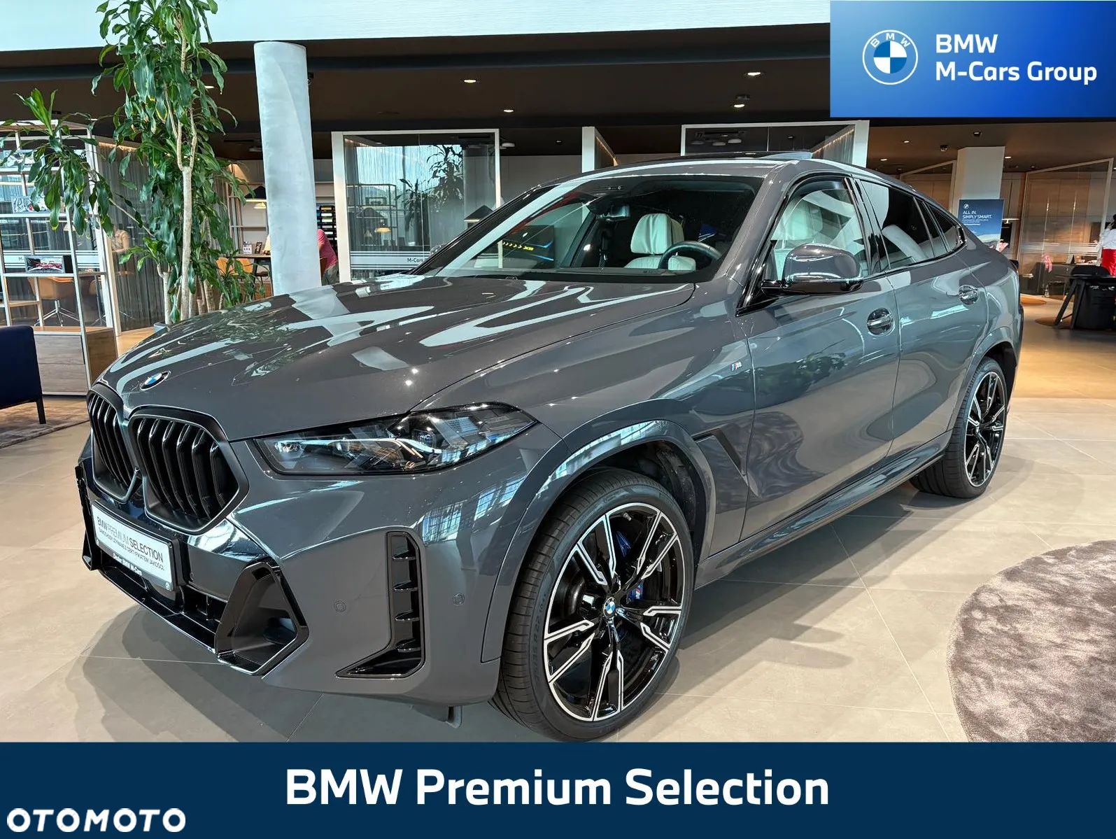 BMW X6 xDrive30d - 1
