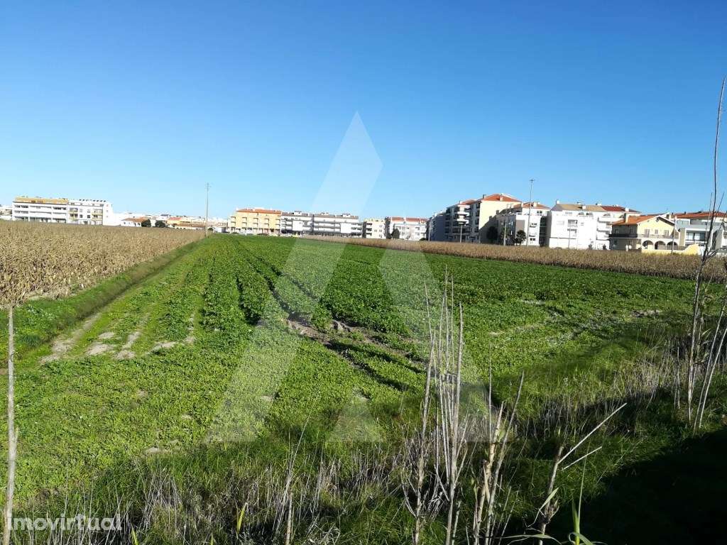 Terreno para construção na Praia da Vagueira - Grande imagem: 5/10