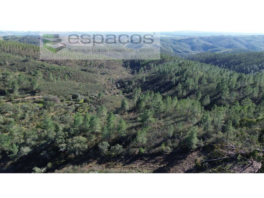 Terreno com 4,5 ha - Palvarinho - Grande imagem: 4/13