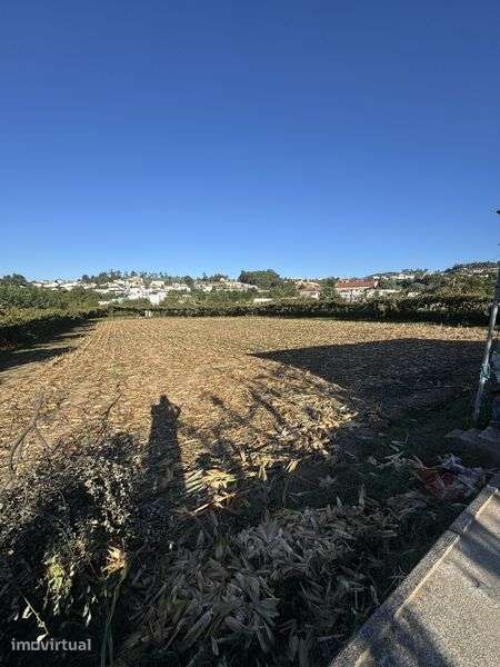 Terreno 3.000 m² para Arrendamento – Aveleda, Lousada - Grande imagem: 3/3