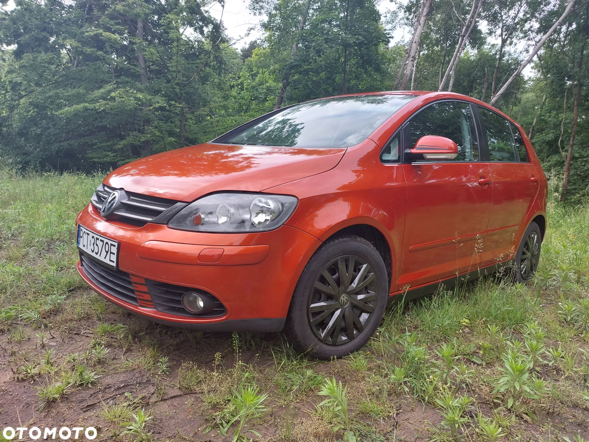Volkswagen Golf Plus 1.4 Goal - 14
