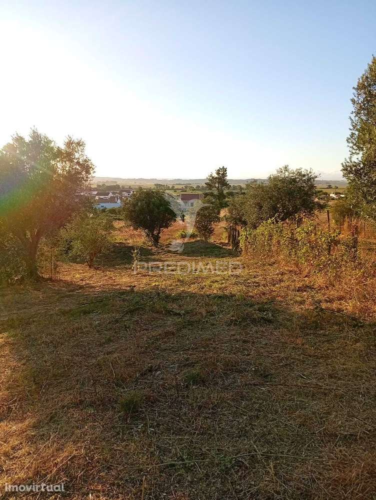 Terreno Urbano com 1.560 m2 em Alpiarça, Santarém. - Grande imagem: 2/12