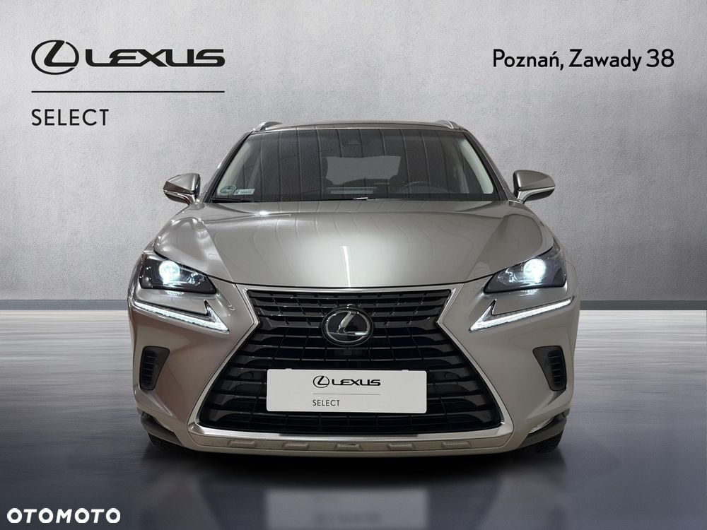 Lexus NX 300 Prestige AWD - 8