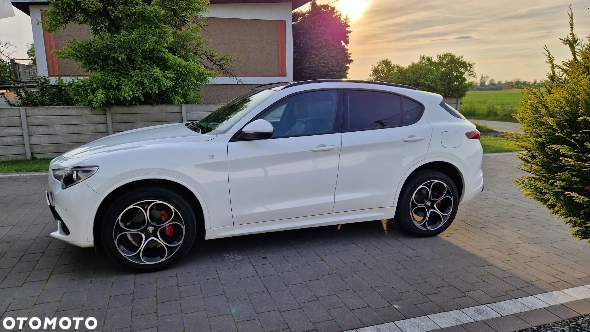 Alfa Romeo Stelvio 2.0 Turbo TI Q4 - 22