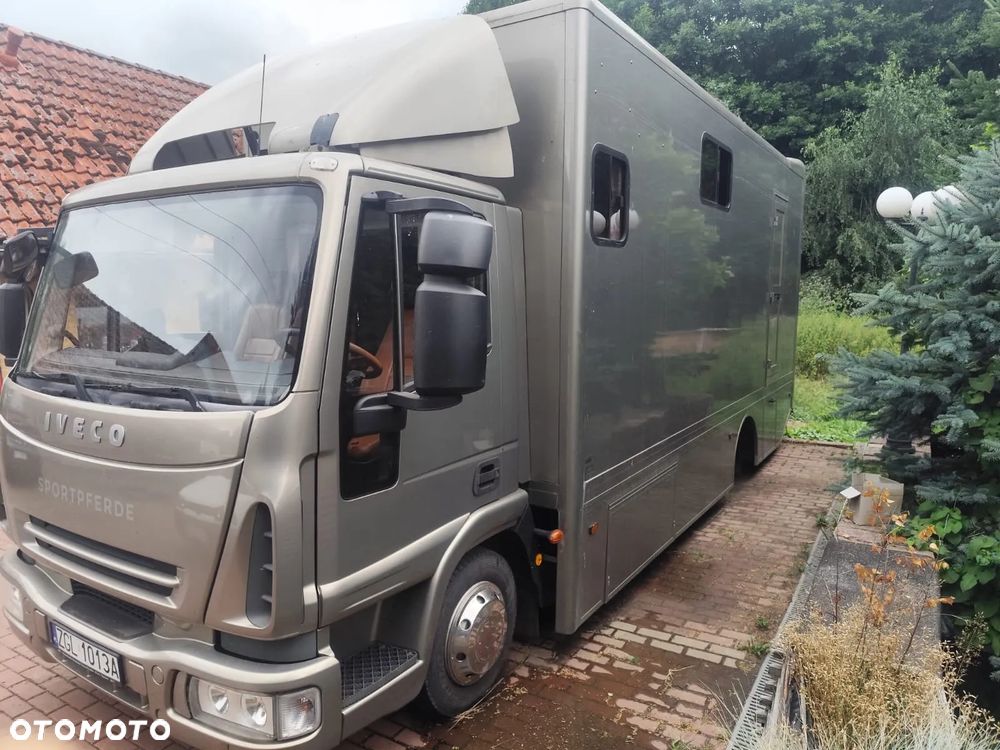 Iveco SPECJALNY KONIOWÓZ - 4