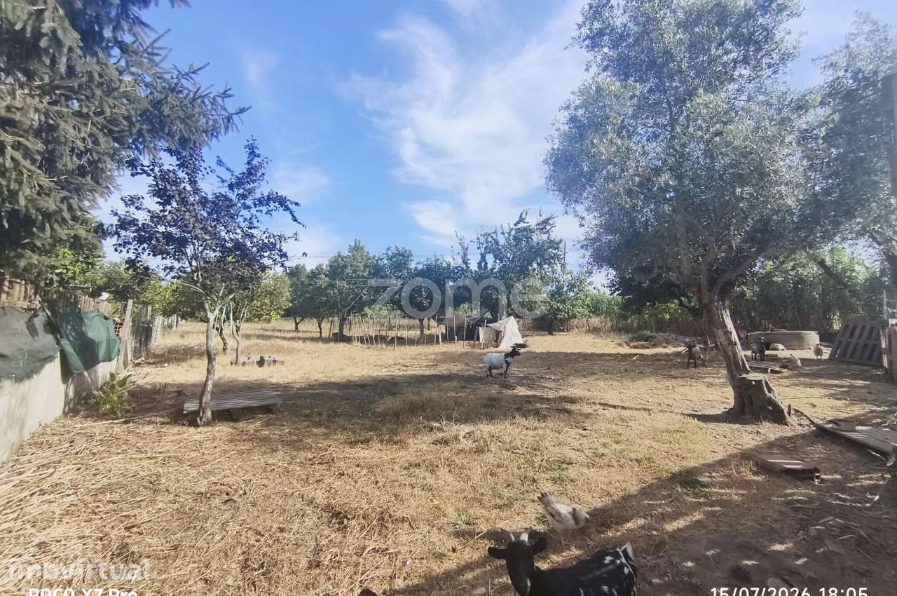 Moradia T4 e terreno rústico com 1730m em Fermentelos - Grande imagem: 3/7