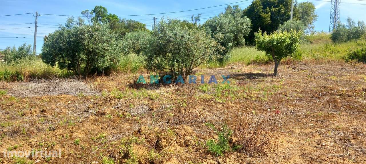 ANG1422 - Terreno de 1264m2 para Venda em Cortes, Leiria - Grande imagem: 4/7