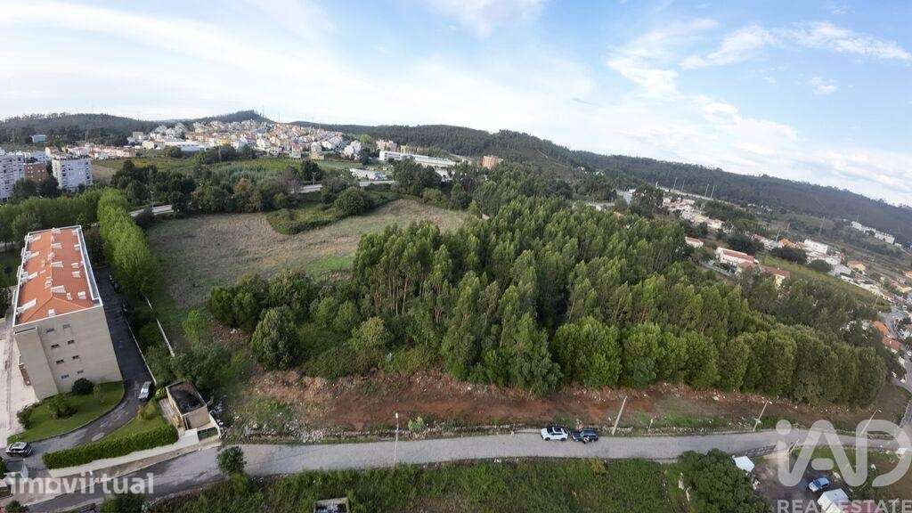 Terreno Agrícola em Valongo - Grande imagem: 5/6