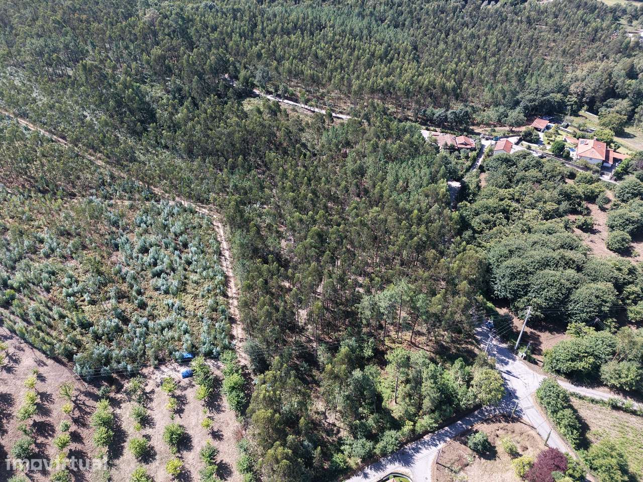 Terreno Florestal com 600 m de Frente de Estrada | Freiriz, Vila Verde - Grande imagem: 3/9