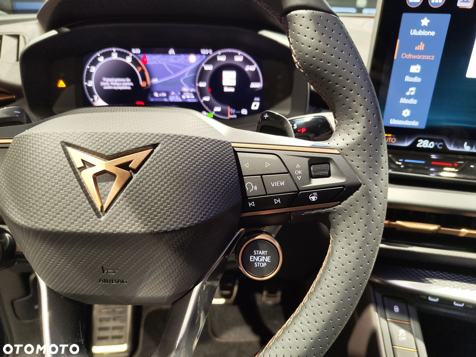 Cupra Terramar - 15
