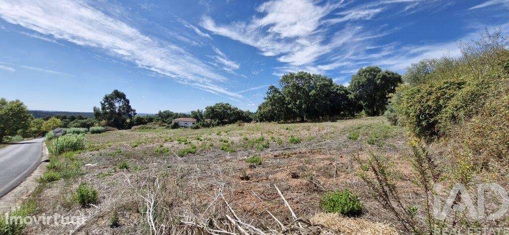 Terreno em Alcobertas de 1600,00 m2 - Grande imagem: 3/30