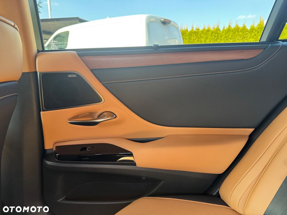 Lexus ES 300h Omotenashi - 18