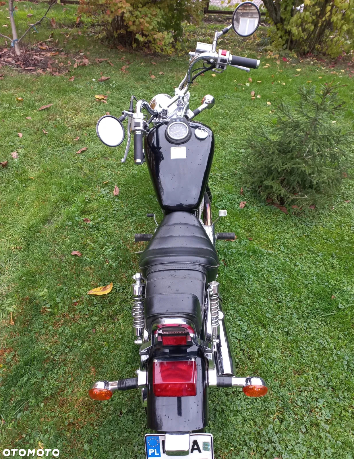 Suzuki Savage - 3