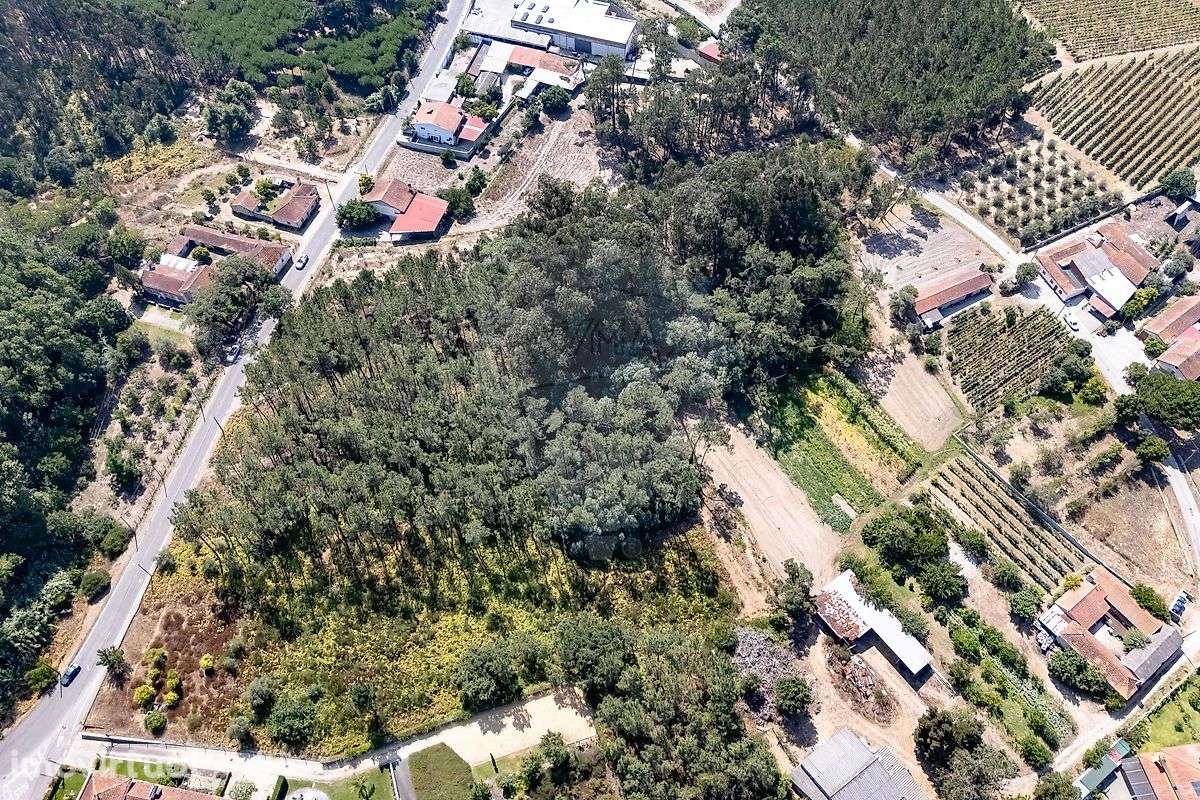 Terreno  para venda - Grande imagem: 2/6