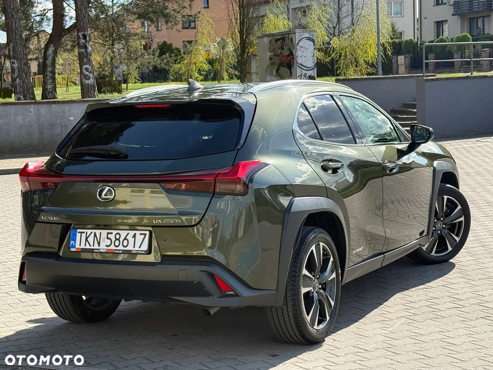 Lexus UX 250h F Sport 2WD - 7